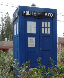 Tardis (blue British police box) in a garden