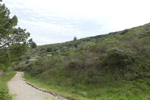 hillside on trail