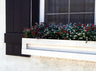 Planter box with small colored flowers