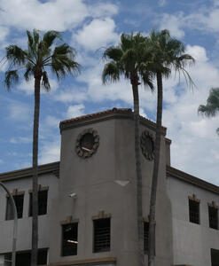 clock tower and palm trees