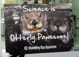 Science is Otterly Pawesome (Monterey Bay Aquarium)