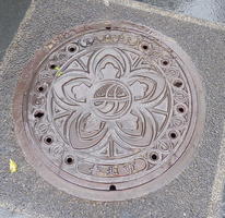 flower manhole cover