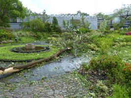 typhoon damage