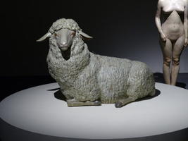 sheep with nude