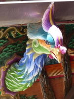 painted bird head