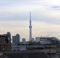 Tokyo Tower in background; city buildings in foreground