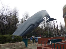 model blue whale outside science museum