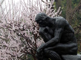thinker with cherry blossoms