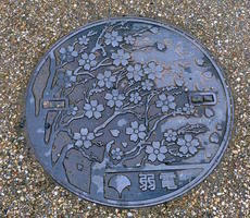 manhole cover with cherry blossom motif