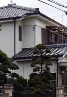 house w japanese roof tiles and tree