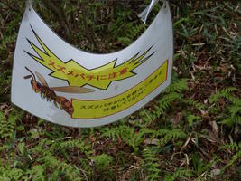 signage wasp warning