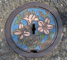 manhole cover painted