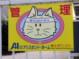 signage cartoon cat with sweatband