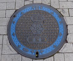 manhole cover with blue outer ring