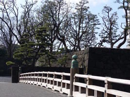 Bridge near Imperial Palace; trees trimmed in Japanese style in background