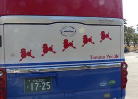 bus with red poodle with green bow