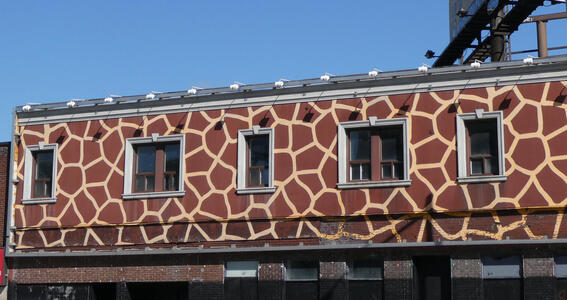 giraffe pattern house