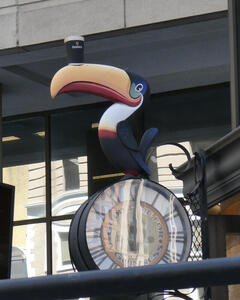 toucan on clock with beer glass on beak