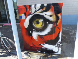 Utility box with eye in tiger face