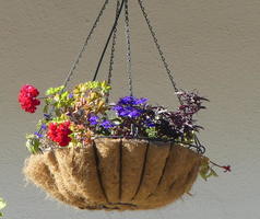 Hanging basket with red, purple, and green flowers