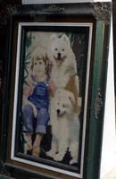Tapestry image of little girl with two husky dogs
