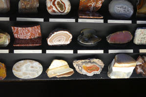 Polished cross-section of several mineral samples