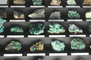 Multiple green-colored mineral samples