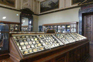 View of room full of display cases
