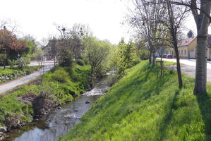 Stream with grassy banks