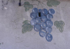 Painted purple grapes on side of restaurant