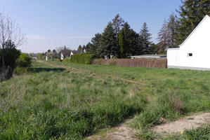 Overgrown field; white houses in background