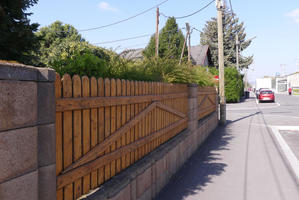 Wooden fence with bushes growing over top