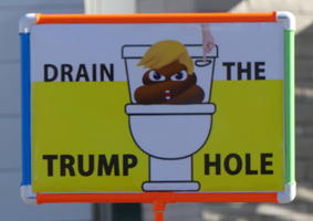 Poop emoji with Trump hairstyle; text: Drain the Trump Hole