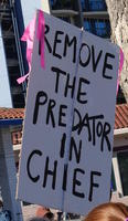 Remove the predator in chief