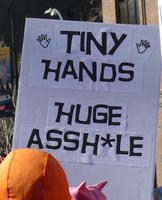Tiny hands / Huge assh*le