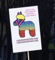 Rainbow piñata of a donkey with Trump hairdo: Does this ass make my country look small?