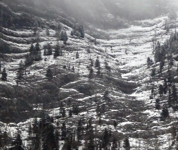 Berg mit Schnee und Bäume