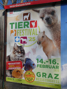 Poster for pet festival; shows many animals including cat, horse, llama, ginea pig, and fish