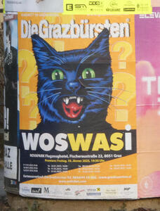 Poster with drawing of a black cat with green eyes, mouth open and teeth showing.