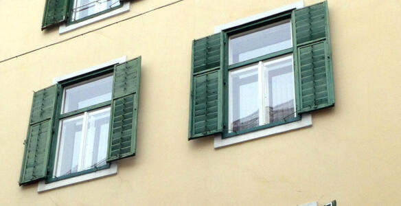 green window shutters