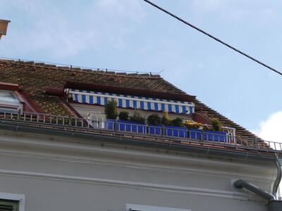 Garden on roof balcony with blue striped awning