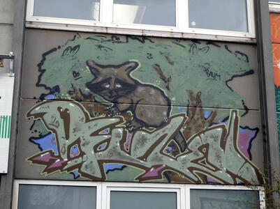 graffiti of raccoon