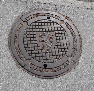 manhole cover with heraldic lion