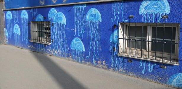 jellyfish on blue background