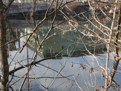 reflection of building in water