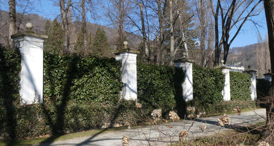 row of columns along hedge