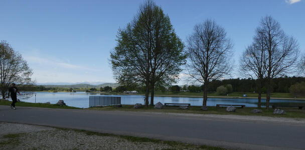 lake at sculpture park