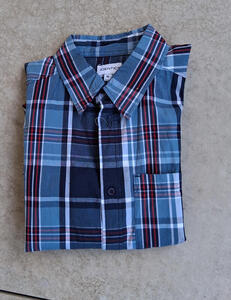 Blue and red plaid shirt; primarily blue.