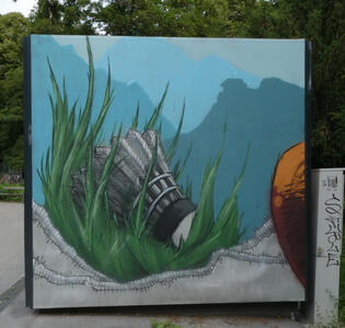 badminton bird lying in grass