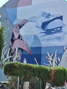 Sea turtle at right; person lying on back in water, wearing swimming goggles